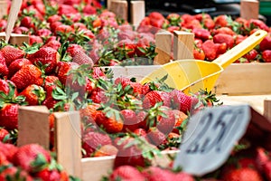 Strawberries on the market