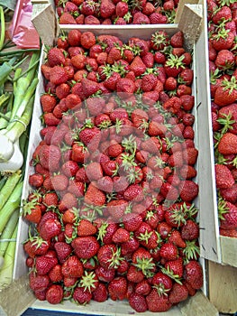 Strawberries in the market