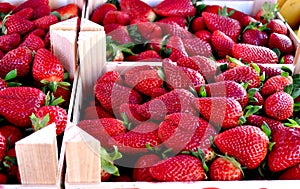 Strawberries on the market