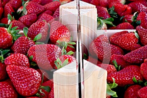 Strawberries on the market