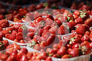 Strawberries on market img