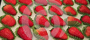 Strawberries neatly arranged in the supermarket photo