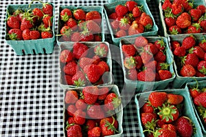 Strawberries on picnic tablecloth