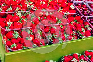 Strawberries in plastic baskets