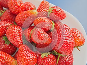 Strawberries on a plate, gray background. White dishes and delicious red large garden strawberries. Healthy food