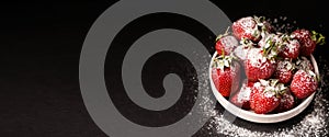 Strawberries in a plate with powdered sugar on a black background, close-up, long banner