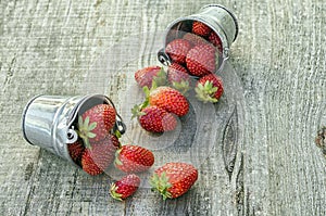 Strawberries in pots