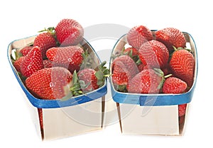 Strawberries in punnet photo