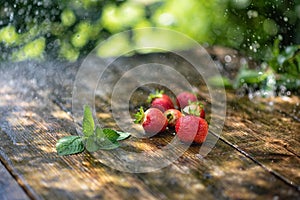 Strawberries in the rain on a wooden table close-up