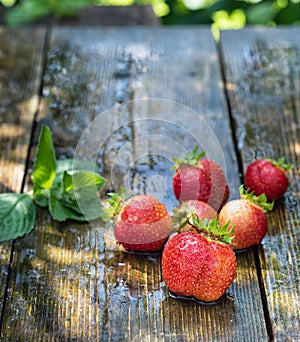 Strawberries in the rain on a wooden table close-up