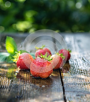 Strawberries in the rain on a wooden table close-up