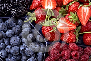 Strawberries, raspberries, blueberries, blackberries on a separate dish close-up on a solid concrete background. Healthy eating
