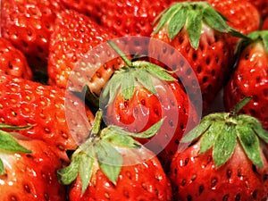 Strawberries in red color