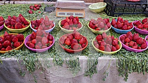 Strawberries for sale in the Marrakesh Souk along one side of Jemaa el-Fnaa square and market place in Marrakesh`s medina quarter.