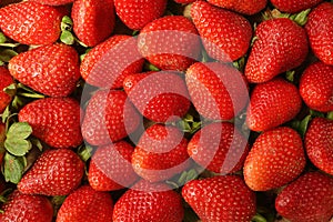 Strawberries side by side full screen