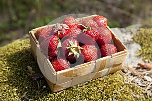 Strawberries in a small wooden basket