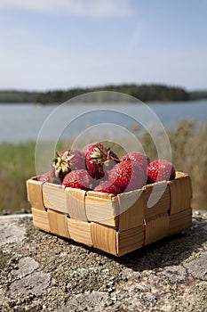 Strawberries in a small wooden basket