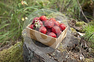 Strawberries in a small wooden basket