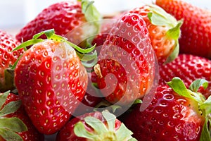 Strawberries in the spring sunshine