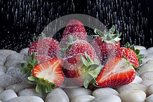 Strawberries with sugar photo