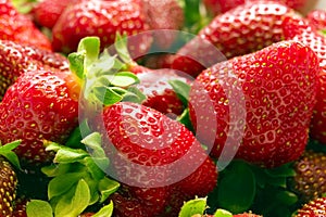 Strawberries vol. 3