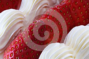 Strawberries and Whipped Cream