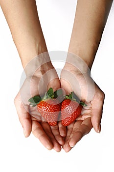 Strawberries in woman hand photo