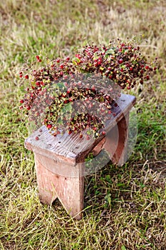 Strawberries on a wooden bench.