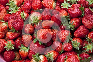 Strawberry photo