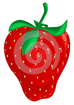 Strawberry photo