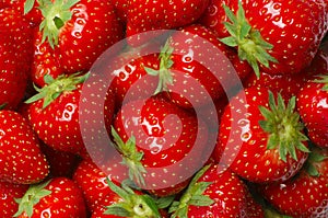 Strawberry photo