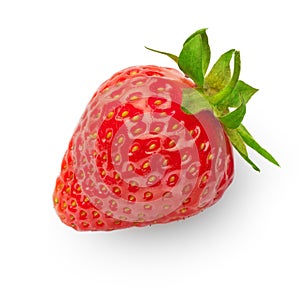 Strawberry photo