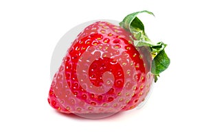 Strawberry photo