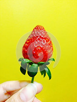 Strawberry