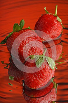 Strawberry #6