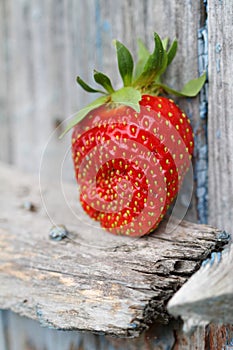 Strawberry