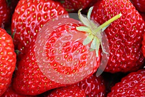 Strawberry