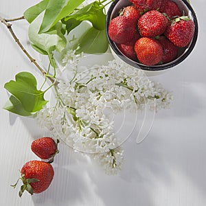 The Strawberry in an aluminum cup, white lilac on a white napkin on a white wooden table