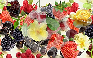 strawberry andf blackberry  and yellow flowers  background banner fruits and berry  vitamines healhy food vegan template