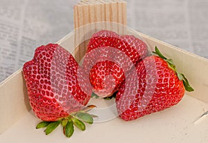 Strawberry arrangement 4