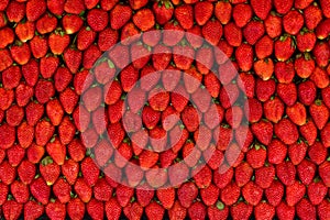 Strawberry background