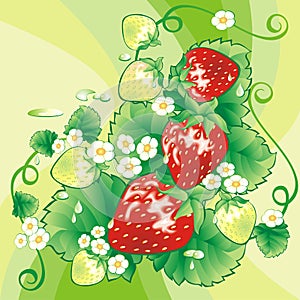 Strawberry background