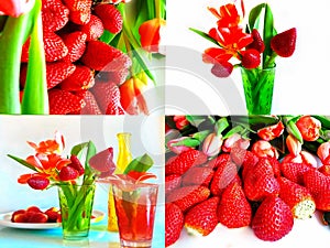 Strawberry   background and  tulip flowers still life isolated on white set collage fruit dessert and flowers tulip bouquet  in gr