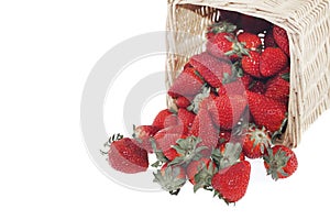 Strawberry basket