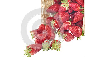 Strawberry basket