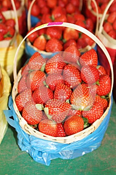 Strawberry Basket