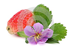 Strawberry. Berries isolated on white background.