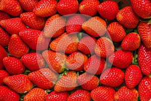 Strawberry berry fruit summer background