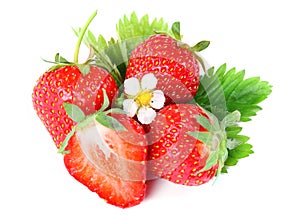 Strawberry berry with green leaf and flower