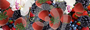 Strawberry and blackberry background banner fruits and berry  vitamines healhy food